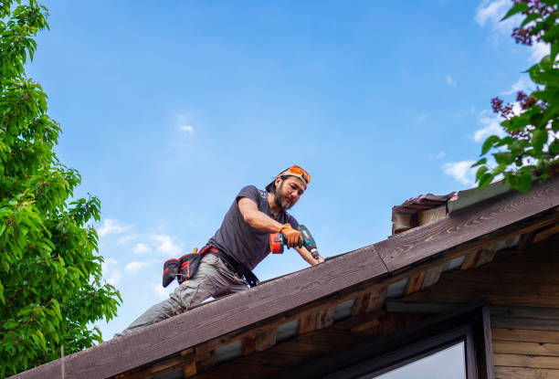 Fast & Reliable Emergency Roof Repairs in Freeland, WA